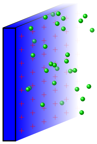 membrane-ions