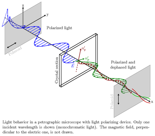 polarizing-microscope