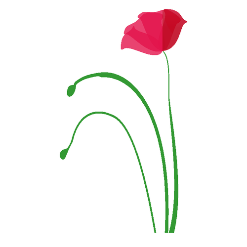 poppy