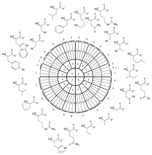 rna-codons-table