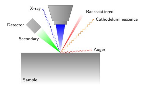 scanning-electron-microscopy