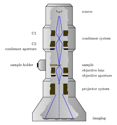 transmission-electron-microscope